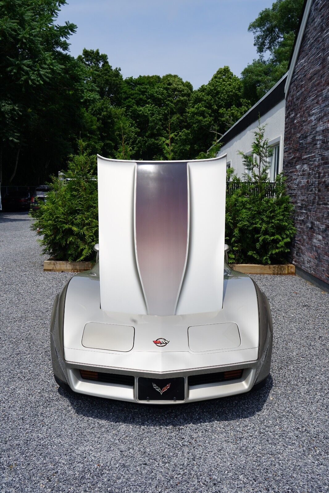 Chevrolet-Corvette-Coupe-1982-Silver-Beige-Metallic-Silver-Beige-35127-26