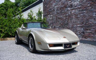 Chevrolet-Corvette-Coupe-1982-Silver-Beige-Metallic-Silver-Beige-35127-3