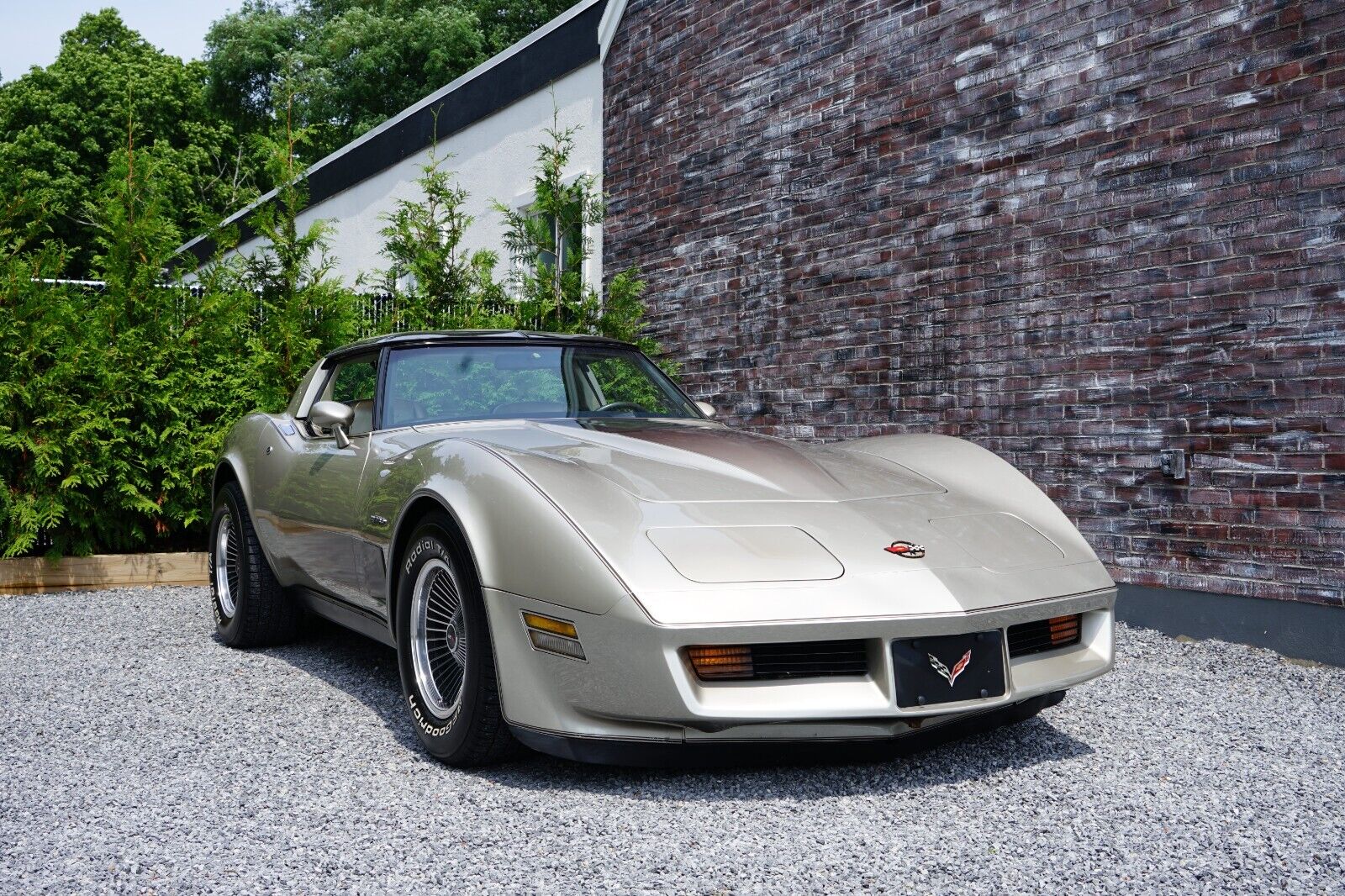 Chevrolet-Corvette-Coupe-1982-Silver-Beige-Metallic-Silver-Beige-35127-3