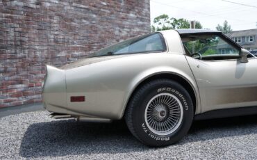 Chevrolet-Corvette-Coupe-1982-Silver-Beige-Metallic-Silver-Beige-35127-31