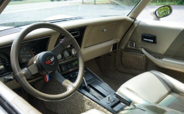 Chevrolet-Corvette-Coupe-1982-Silver-Beige-Metallic-Silver-Beige-35127-34