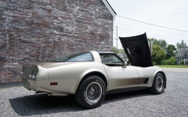 Chevrolet-Corvette-Coupe-1982-Silver-Beige-Metallic-Silver-Beige-35127-35