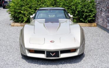 Chevrolet-Corvette-Coupe-1982-Silver-Beige-Metallic-Silver-Beige-35127-36