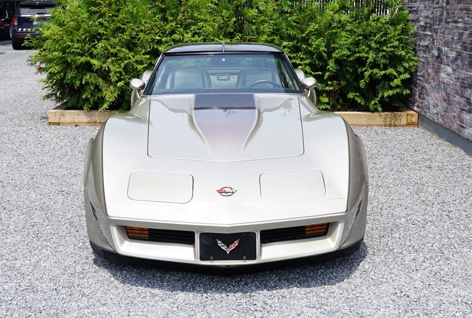 Chevrolet-Corvette-Coupe-1982-Silver-Beige-Metallic-Silver-Beige-35127-36