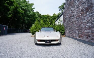 Chevrolet-Corvette-Coupe-1982-Silver-Beige-Metallic-Silver-Beige-35127-37