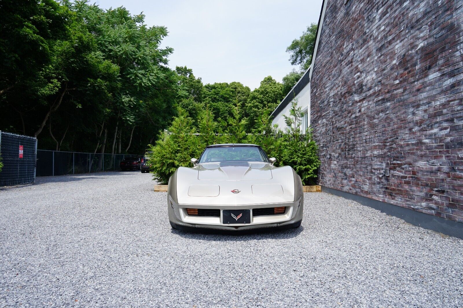 Chevrolet-Corvette-Coupe-1982-Silver-Beige-Metallic-Silver-Beige-35127-37