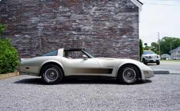 Chevrolet-Corvette-Coupe-1982-Silver-Beige-Metallic-Silver-Beige-35127-4