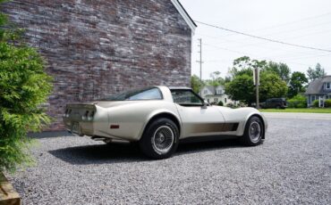 Chevrolet-Corvette-Coupe-1982-Silver-Beige-Metallic-Silver-Beige-35127-5