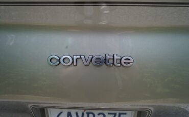 Chevrolet-Corvette-Coupe-1982-Silver-Beige-Metallic-Silver-Beige-35127-7