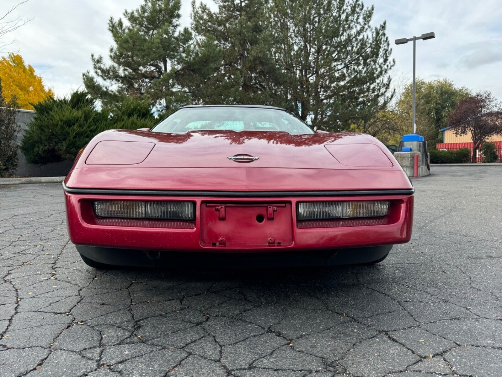 Chevrolet-Corvette-Coupe-1989-8