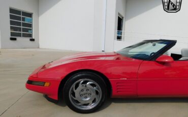 Chevrolet-Corvette-Coupe-1992-Red-White-174549-5