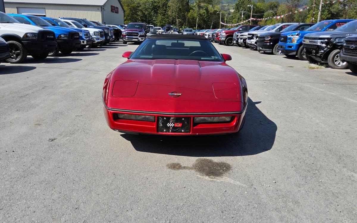 Chevrolet-Corvette-convertible-1989-151577-1