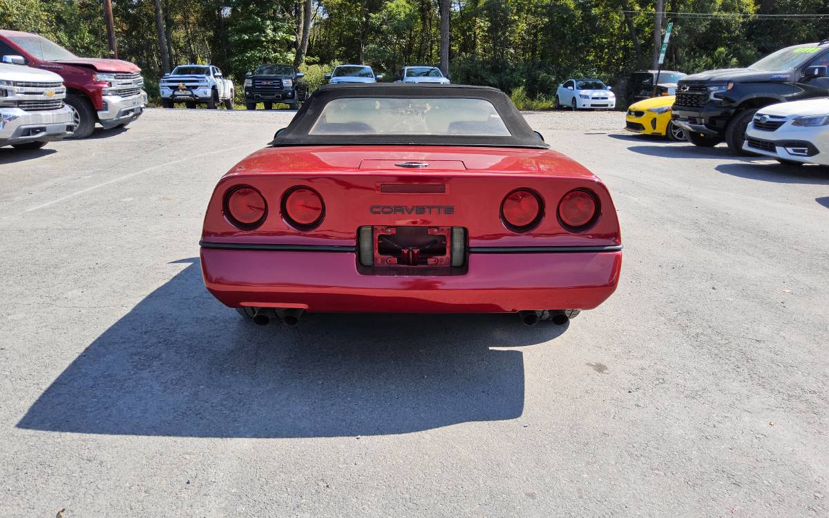 Chevrolet-Corvette-convertible-1989-151577-5