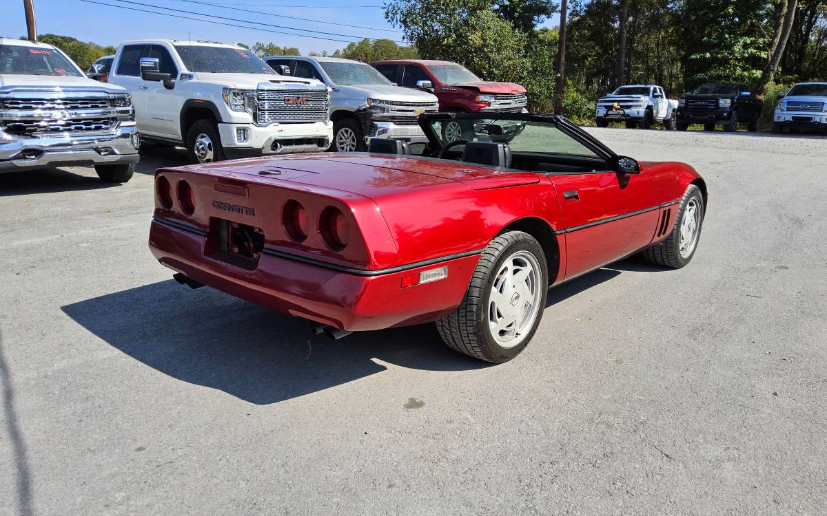 Chevrolet-Corvette-convertible-1989-151577-9