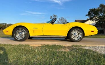 Chevrolet-Corvette-convertible-stingray-1975-22