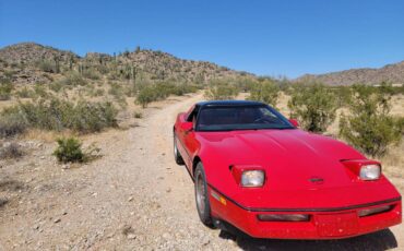 Chevrolet-Corvette-coupe-1985-9