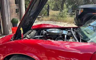 Chevrolet-Corvette-stingray-1974-red-102525-4