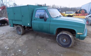 Chevrolet-D30-1986-Green-Brown-20118-1