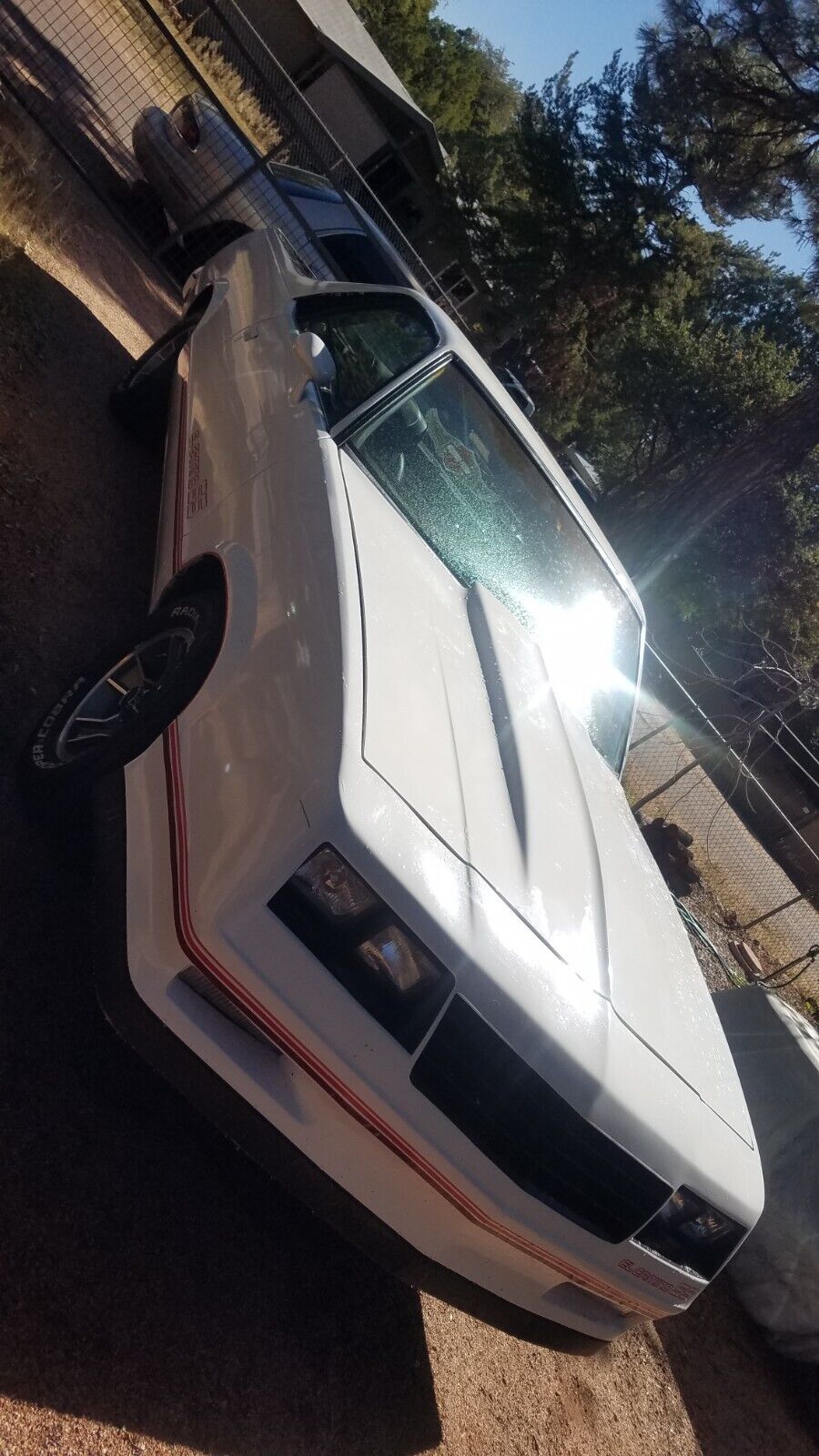 Chevrolet-El-Camino-1979-White-Black-999999-4