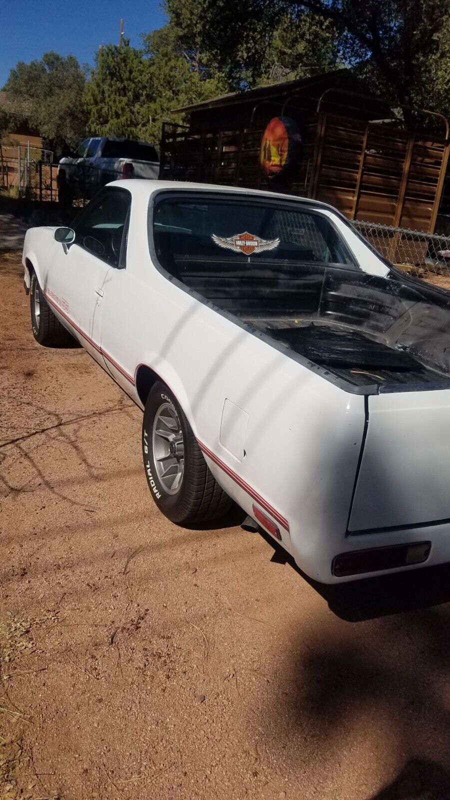 Chevrolet-El-Camino-1979-White-Black-999999-5