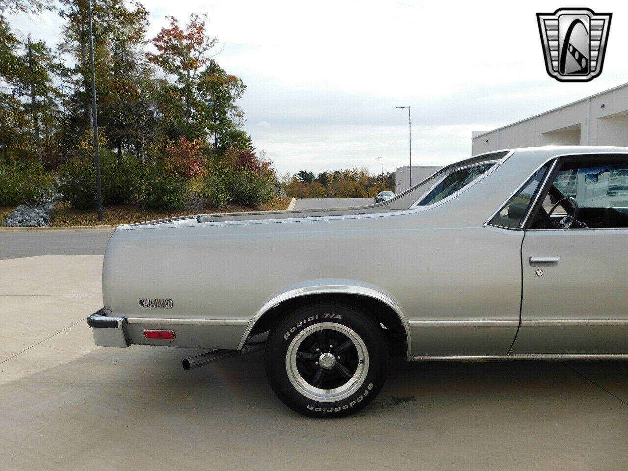 Chevrolet-El-Camino-Pickup-1978-11