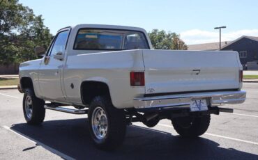 Chevrolet-K-10-1974-white-768-6