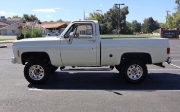 Chevrolet-K-10-1974-white-768-8