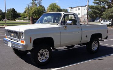 Chevrolet-K-10-1974-white-768-9