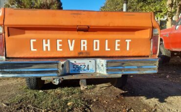 Chevrolet-K-20-4x4-1972-orange-160934-6