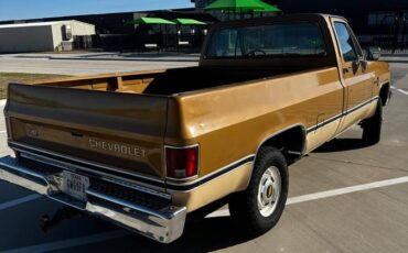 Chevrolet-K10-1984-brown-201168-1