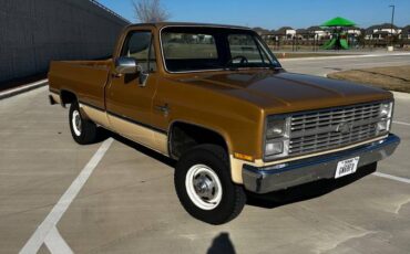 Chevrolet-K10-1984-brown-201168-20