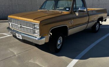 Chevrolet-K10-1984-brown-201168