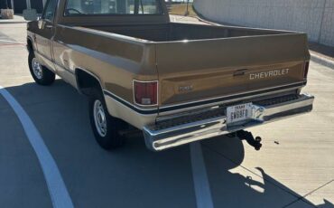 Chevrolet-K10-1984-brown-201168-3