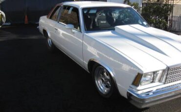 Chevrolet-Malibu-1979-1609-3