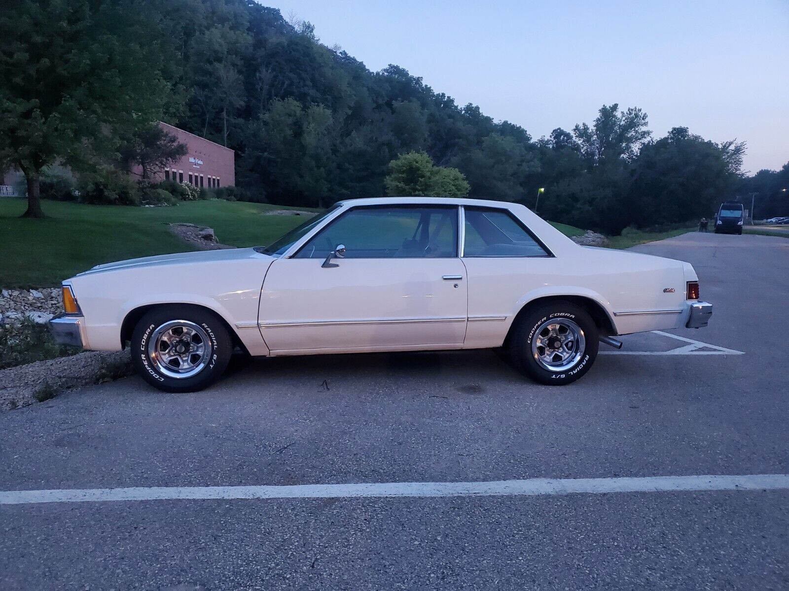 Chevrolet-Malibu-Coupe-1981-30