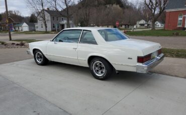 Chevrolet-Malibu-Coupe-1981-31