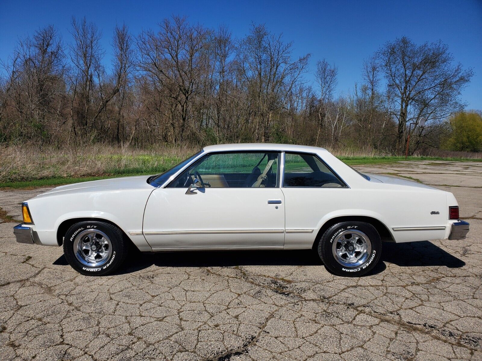 Chevrolet-Malibu-Coupe-1981-38