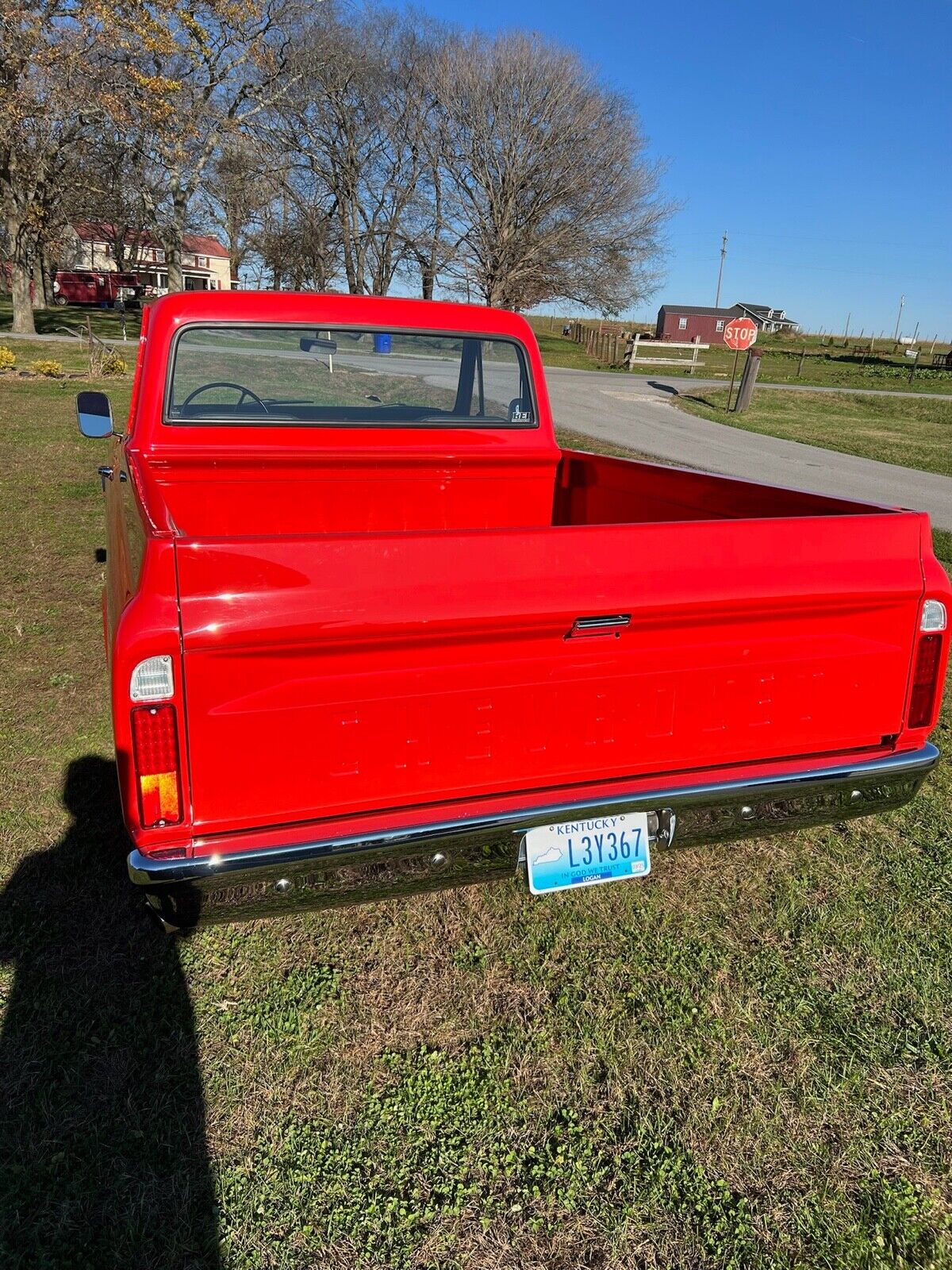 Chevrolet-Other-Pickups-1967-8