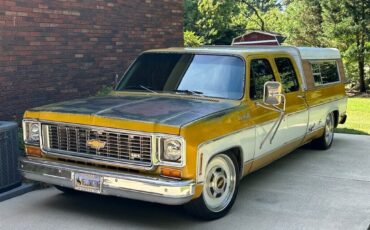 Chevrolet-Other-Pickups-1973-4