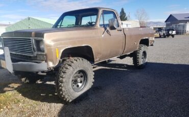 Chevrolet-Other-Pickups-1978-Brown-Brown-160934-12