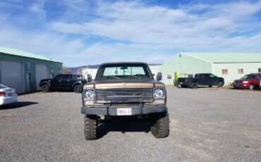 Chevrolet-Other-Pickups-1978-Brown-Brown-160934-14