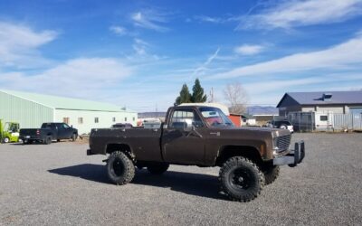 Chevrolet Other Pickups  1978 à vendre