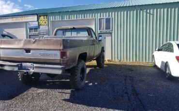 Chevrolet-Other-Pickups-1978-Brown-Brown-160934-9