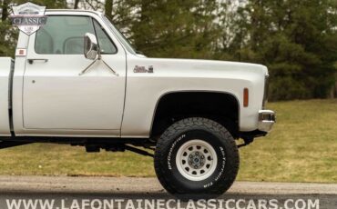 Chevrolet-Other-Pickups-1979-21