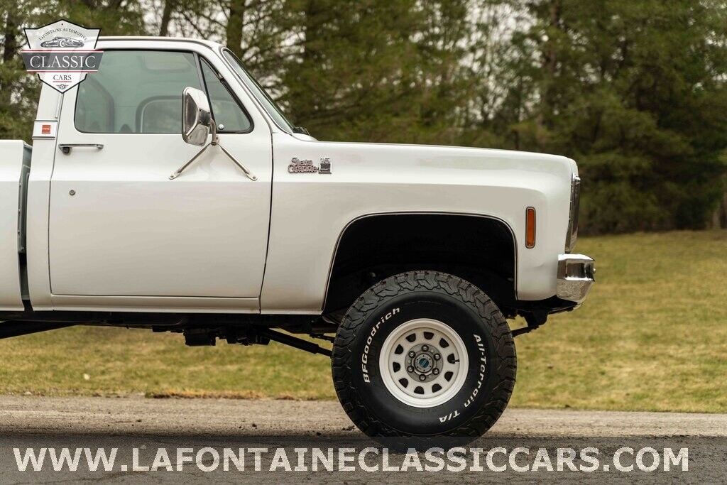 Chevrolet-Other-Pickups-1979-21