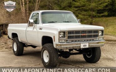 Chevrolet Other Pickups  1979