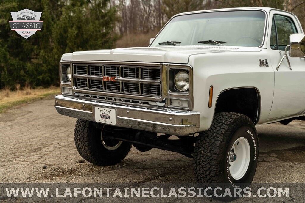 Chevrolet-Other-Pickups-1979-5