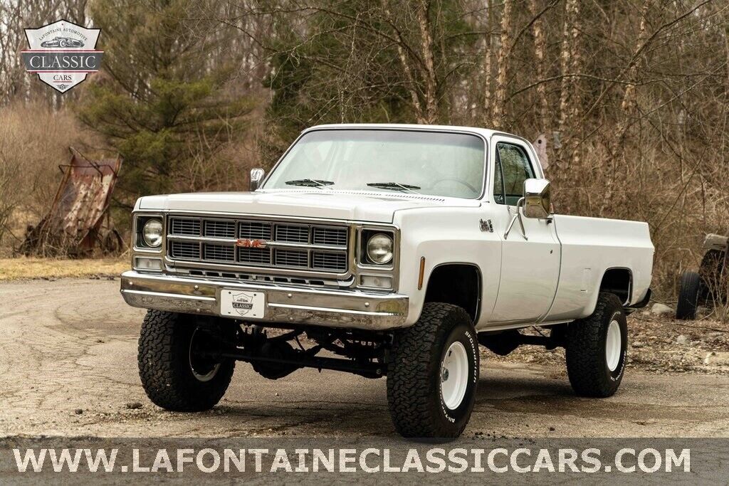 Chevrolet-Other-Pickups-1979-6