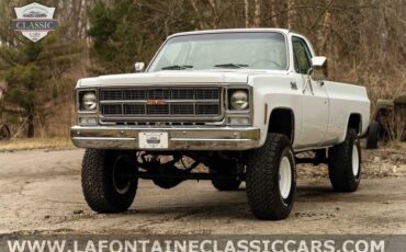 Chevrolet-Other-Pickups-1979-7