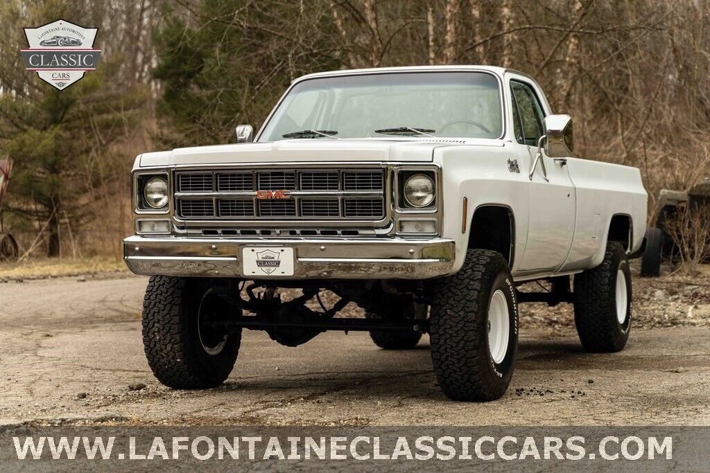 Chevrolet-Other-Pickups-1979-7